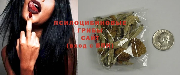 a pvp Аркадак