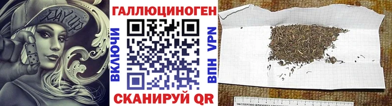 где можно купить   Лукоянов  Галлюциногенные грибы MAGIC MUSHROOMS 
